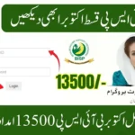 BISP 8171 Rs.13,500 Update