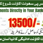 BISP Sahulat Account 2025