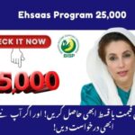 Ehsaas Program 25000 Verification